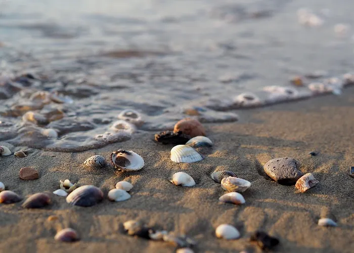 Delightful Near The In Apartmán *